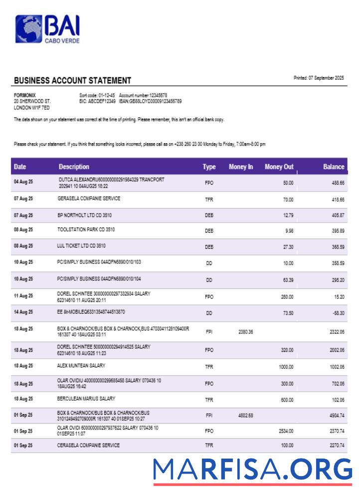 Downloadable Banco Africano de Investimentos business bank statement Word and PDF format template
